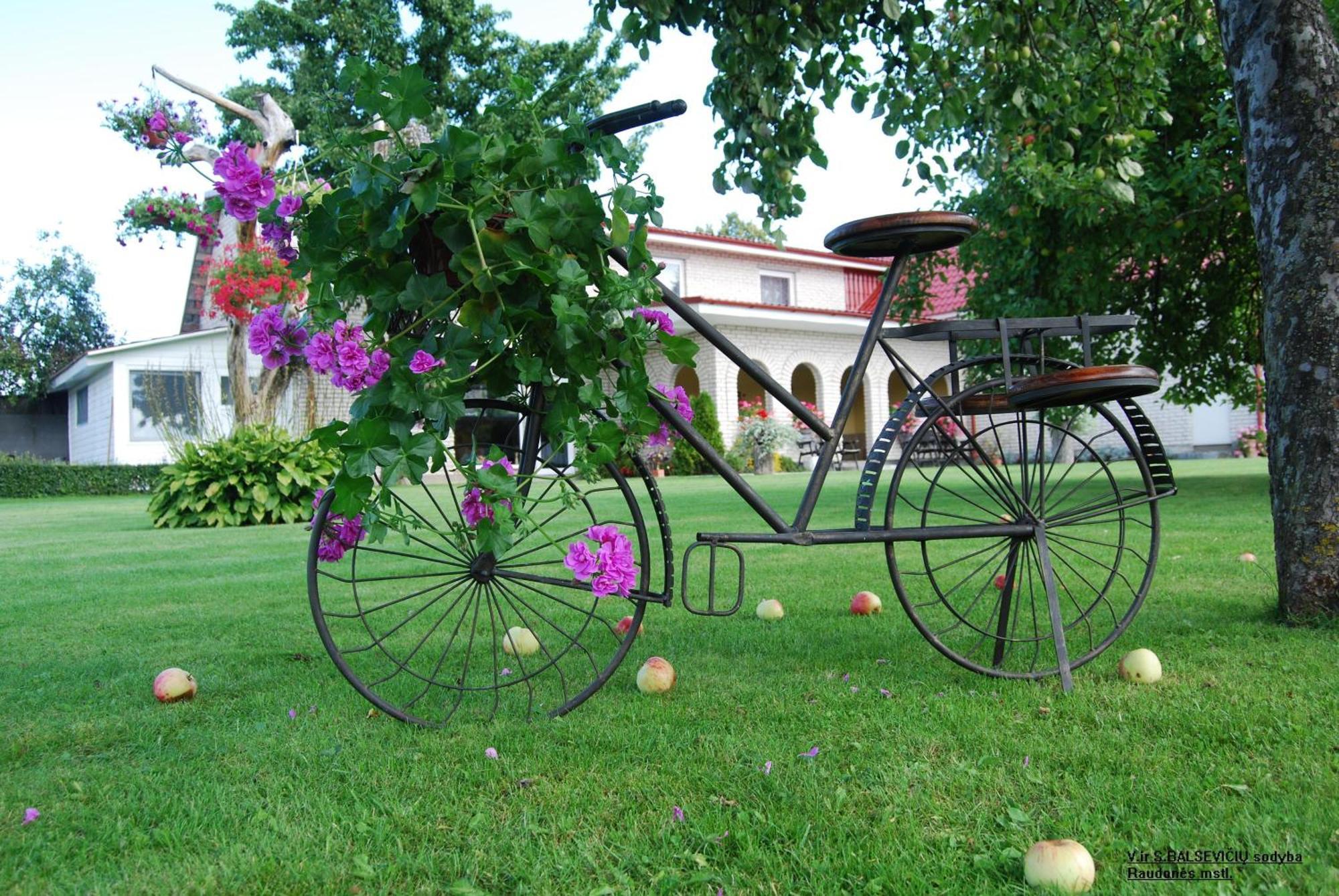 Stasio Balseviciaus Homestead Raudonė Esterno foto